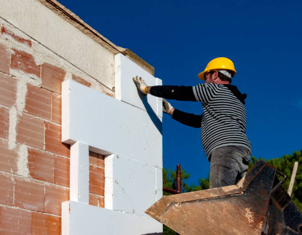 Best Cellulose Insulation in Wolfforth, TX