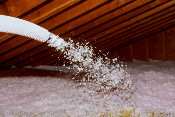 Best Fiberglass Insulation in Wolfforth, TX