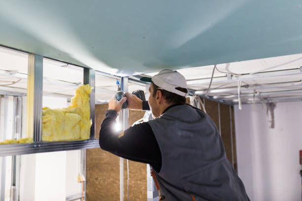 Best Blown-in Insulation in Wolfforth, TX