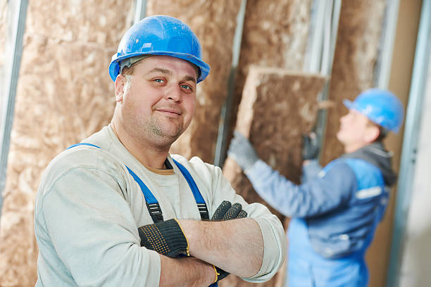 Best Eco-Friendly Insulation in Wolfforth, TX